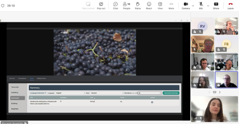 An online meeting is shown with several participants visible in small video windows along the side. The shared screen displays a close-up photograph of dark grapes with stems and leaves, alongside a software interface with tabs and controls, suggesting a tool used to manage or review audiovisual content. The scene conveys a collaborative discussion focused on visual material.